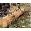 Skovtang - håndmodel - 300 mm
